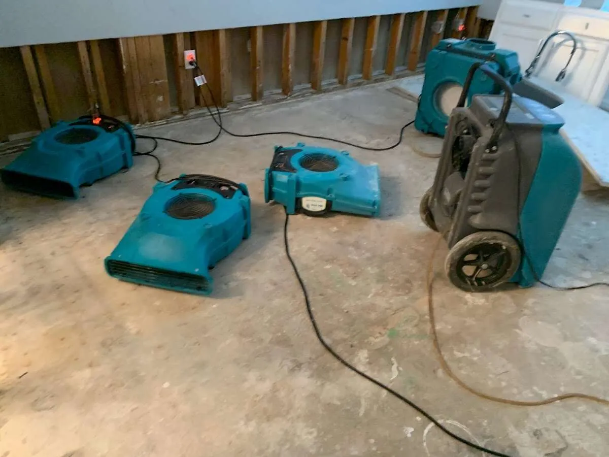 Commercial Water Damage Restoration in Fruitvale, CO